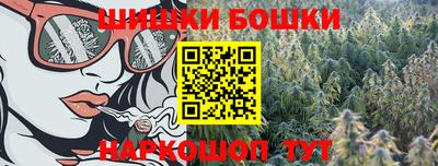 гашик Обнинск