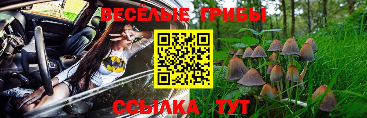 Псилоцибиновые грибы ЛСД Аша