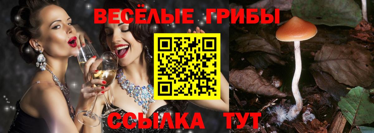 Аша  Псилоцибиновые грибы GOLDEN TEACHER  Вход с VPN 