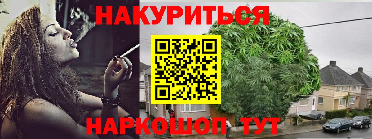 Бошки марихуана сатива Аша